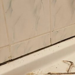 Odgrzybianie oraz usuwanie starego sylikonu 