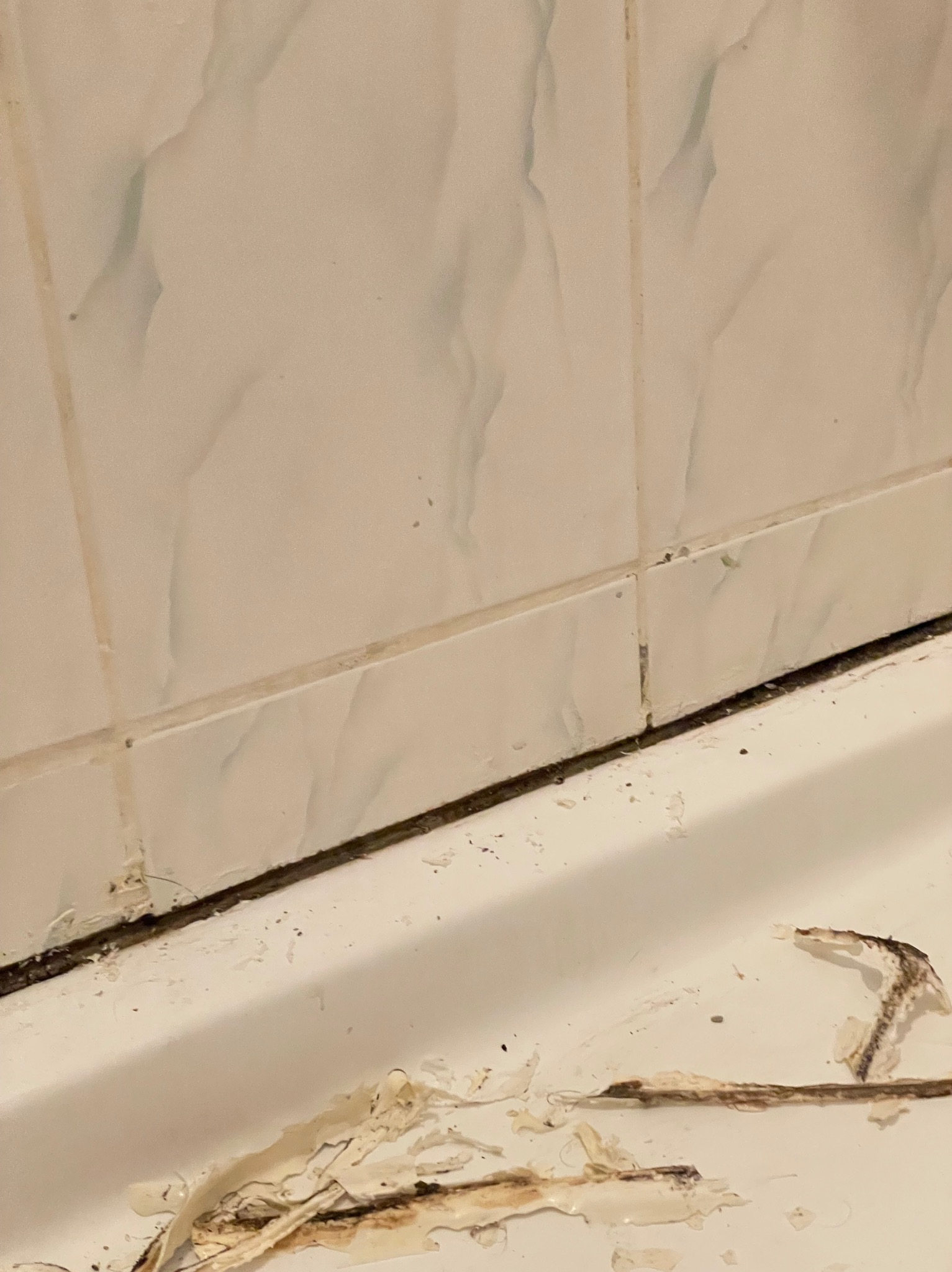 Odgrzybianie oraz usuwanie starego sylikonu