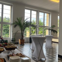 Praski Catering - Elegancka sala bankietowa z cateringiem: stoły z przekąskami, napoje, dekoracje roślinne, wysokie okna z widokiem na zieleń. Przygotowania do eventu.