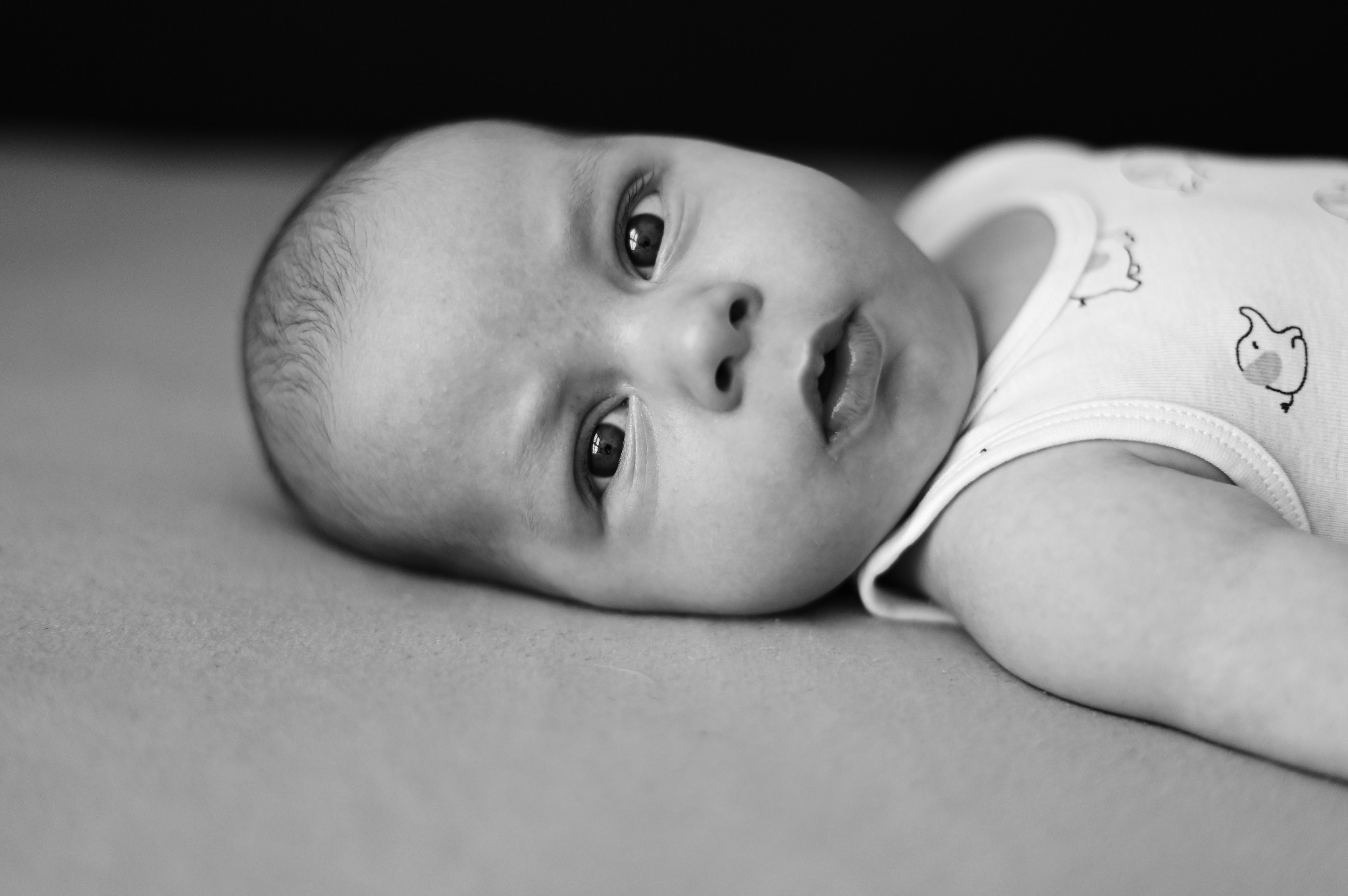 Monochromatyczne ujęcie noworodka leżącego na boku, z wyrazistym spojrzeniem skierowanym w obiektyw, ubranego w body z motywem zwierzęcym.