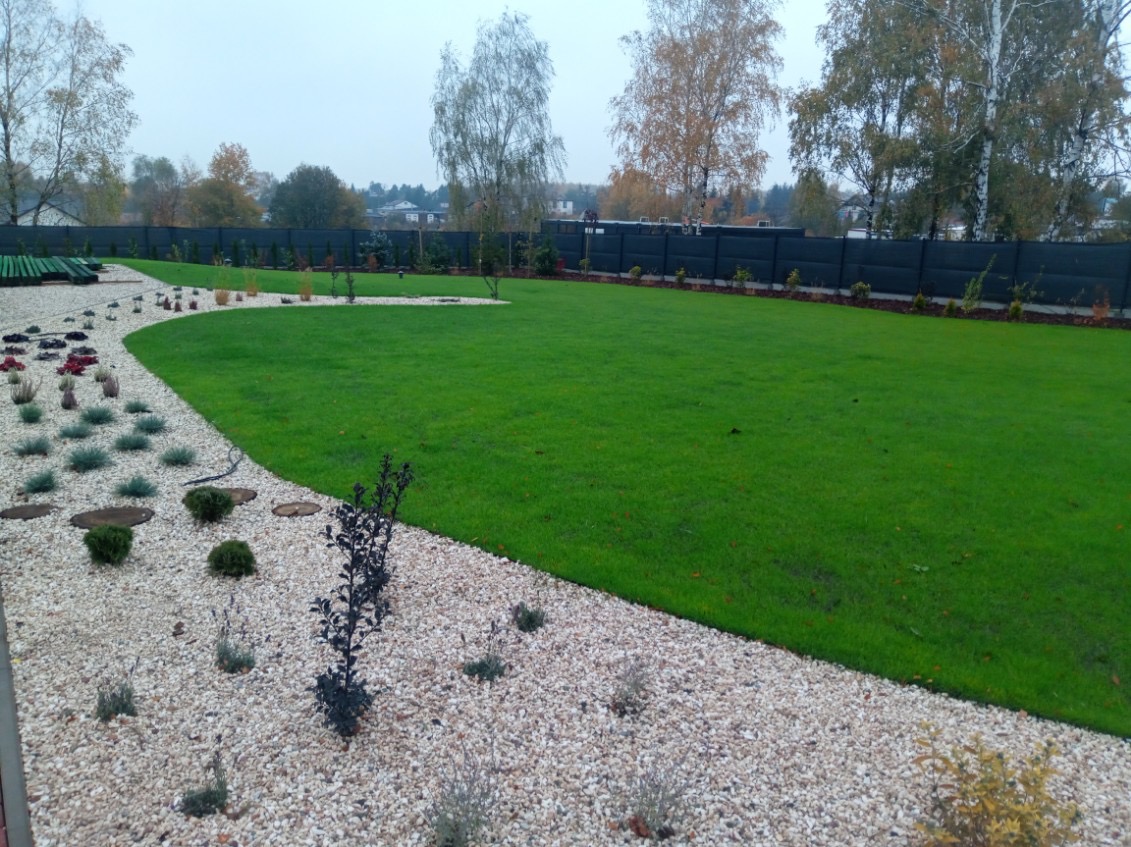 Świeżo założony trawnik z wytyczoną ścieżką z jasnego żwiru, obrzeża obsadzone niskimi krzewami, a w tle ciemne ogrodzenie panelowe.