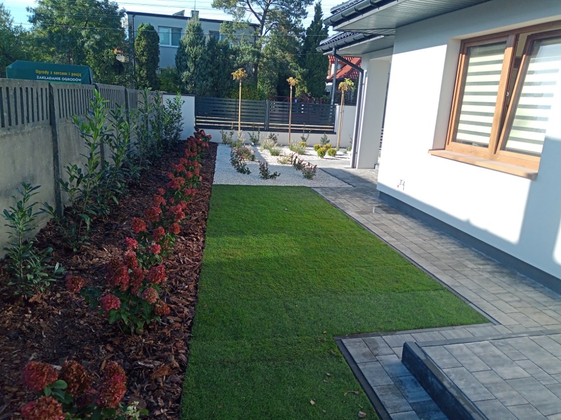 Nowoczesny ogród przydomowy z równo przystrzyżonym trawnikiem, rabatami z czerwonymi hortensjami i białym żwirem, oraz ścieżką z szarych kostek brukowych prowadzącą wzdłuż białej ściany domu...