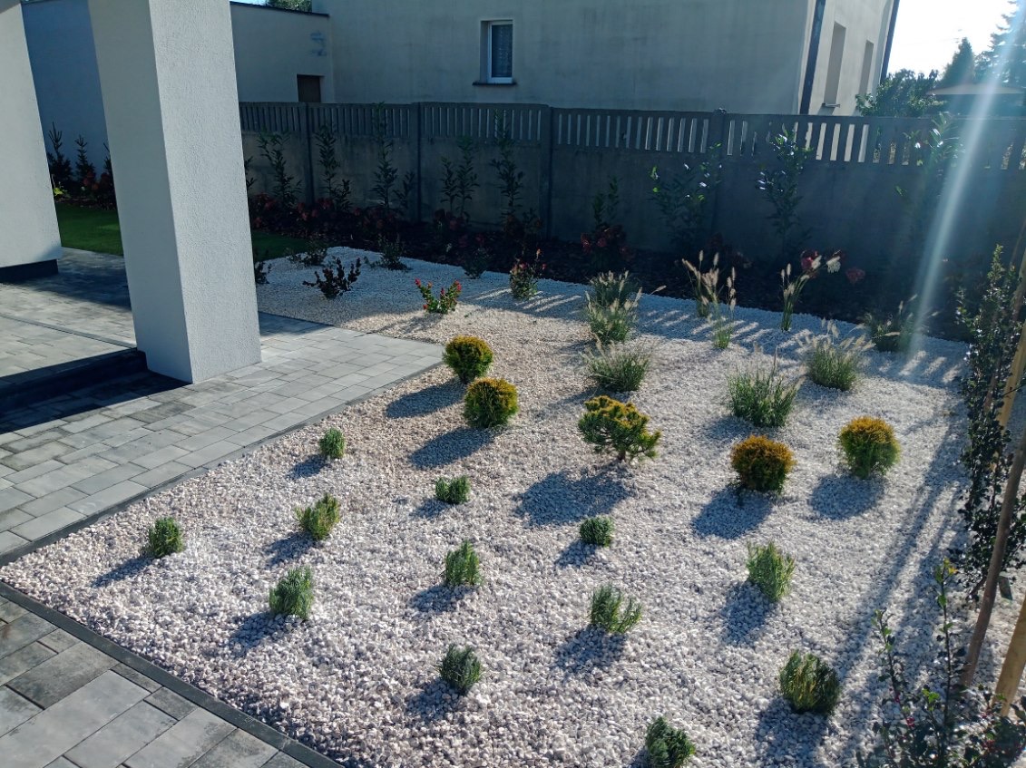 Nowoczesny ogród przydomowy z białym żwirem, kulistymi krzewami i ozdobnymi trawami, widok z góry w słoneczny dzień.