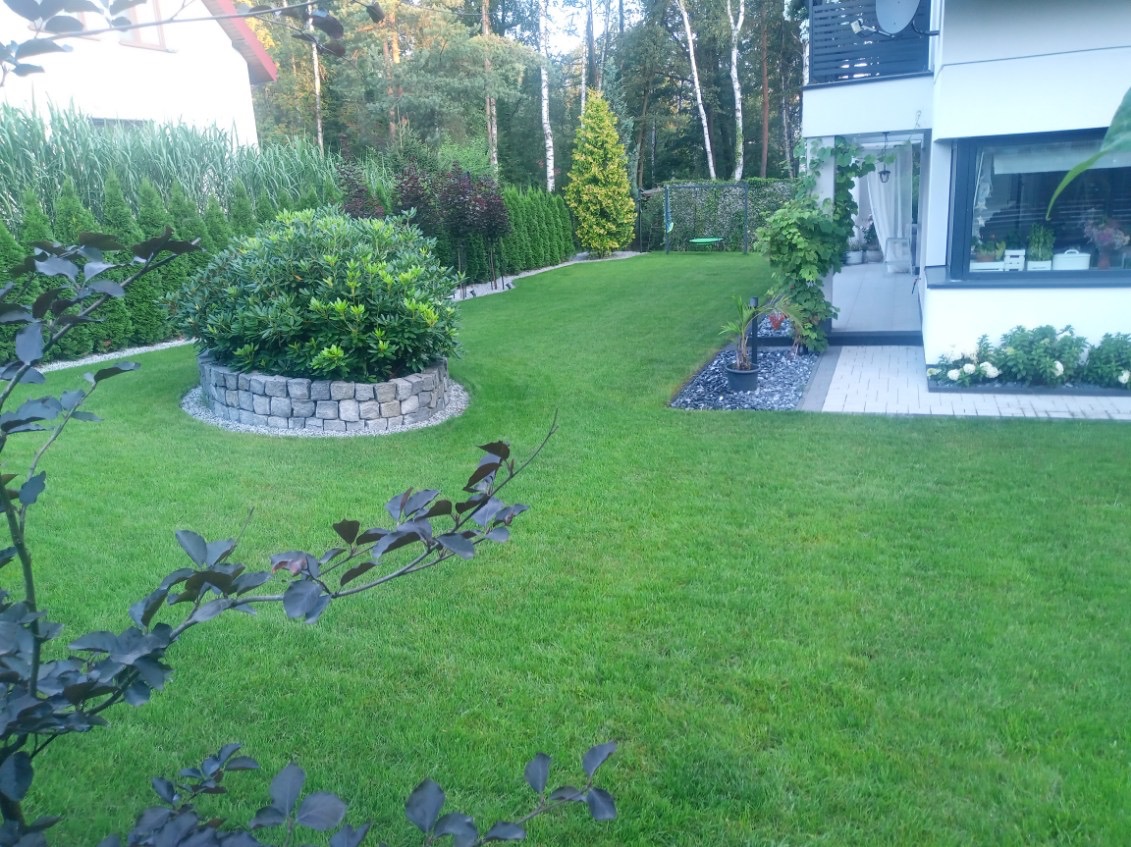 Zadbany trawnik z okrągłym klombem z kamienia, drzewami iglastymi w tle i nowoczesnym domem z białymi ścianami.