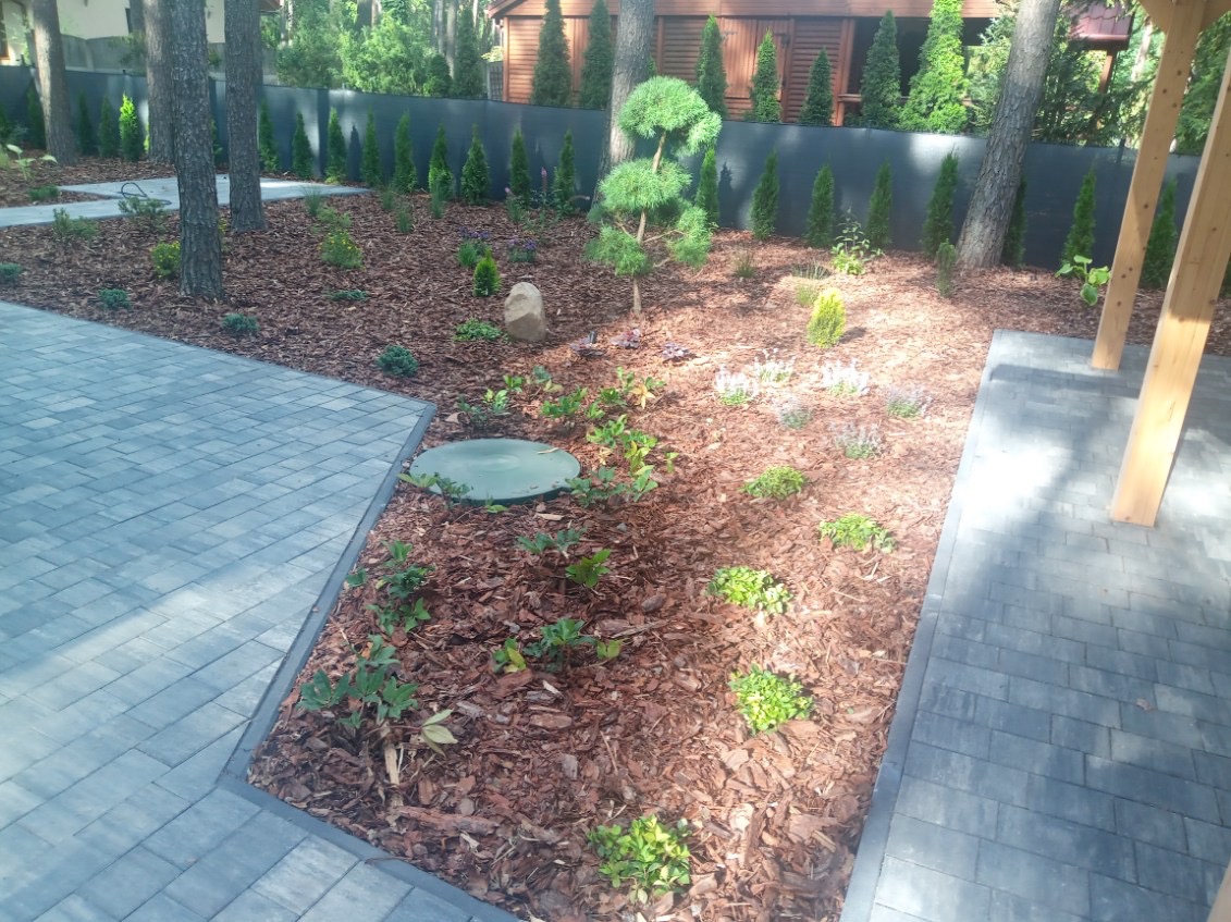 Świeżo zagospodarowany teren zielony z korą, niskimi roślinami i ozdobnym drzewkiem, obok ułożona szara kostka brukowa, w tle wysokie tuje i drewniany domek.