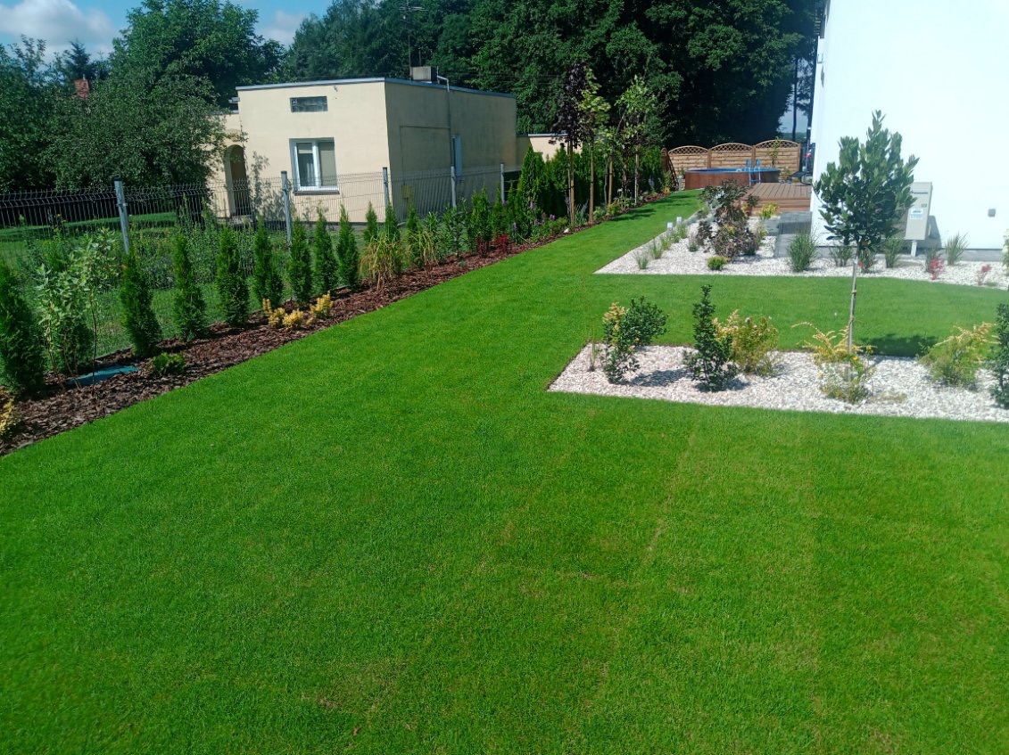 Zadbany trawnik z równo przyciętą trawą, obrzeża z kory drzewnej i nasadzenia z tuj i krzewów ozdobnych, wysypane białym kamieniem rabaty, widok z góry na ogród.