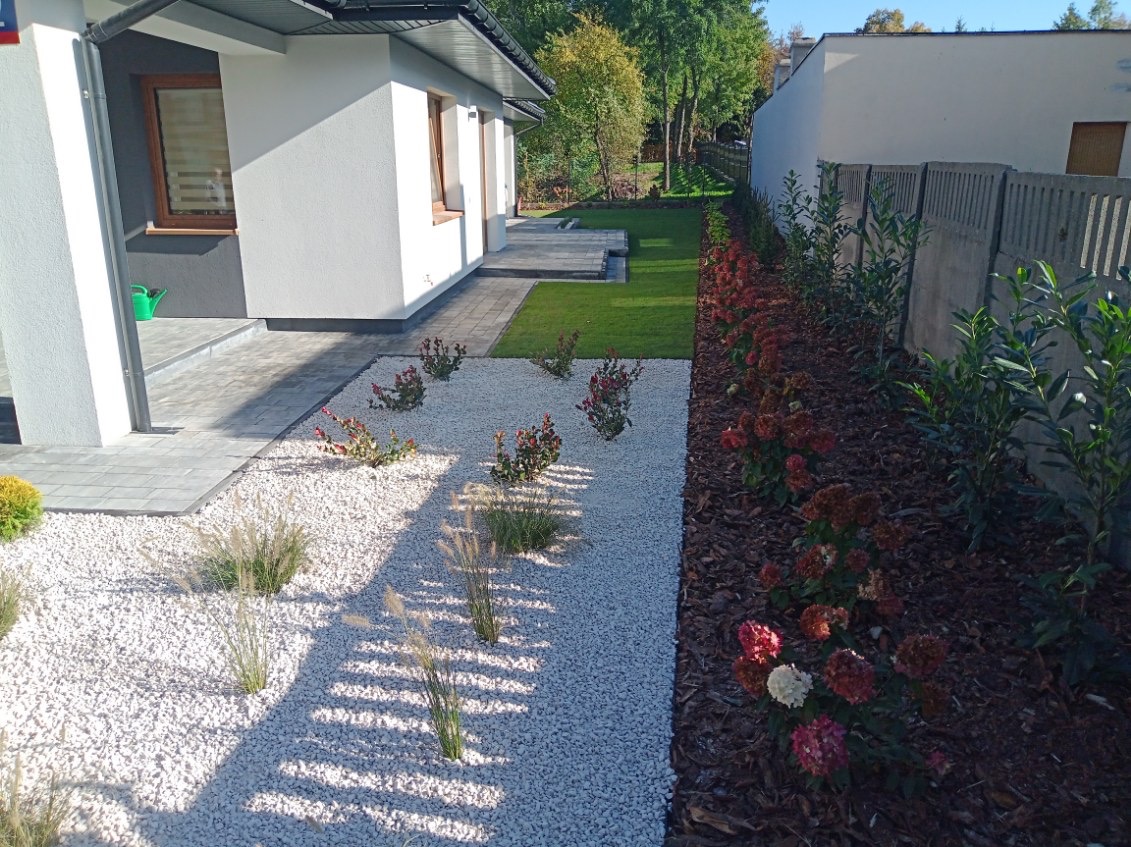 Nowoczesny ogród frontowy z białym żwirem, ozdobnymi trawami i rabatą z hortensji wzdłuż ogrodzenia, widok z perspektywy chodnika.