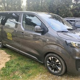 Jacek Szupryczyński - Szary bus z napisem 'TAXI XL BYDGOSZCZ' na boku, stojący na trawniku obok piaszczystej powierzchni, z widocznymi drzewami w tle.