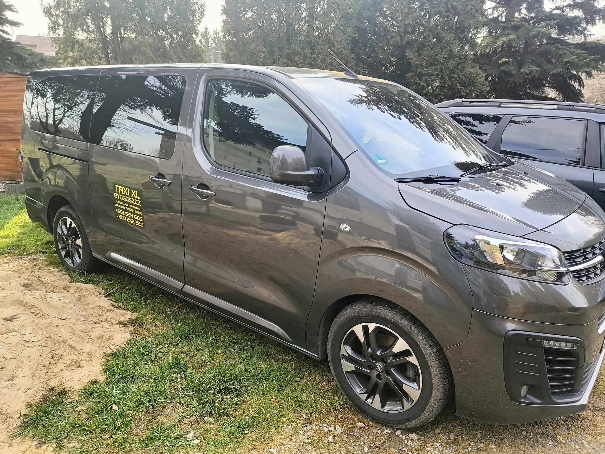 Szary bus z napisem 'TAXI XL BYDGOSZCZ' na boku, stojący na trawniku obok piaszczystej powierzchni, z widocznymi drzewami w tle.