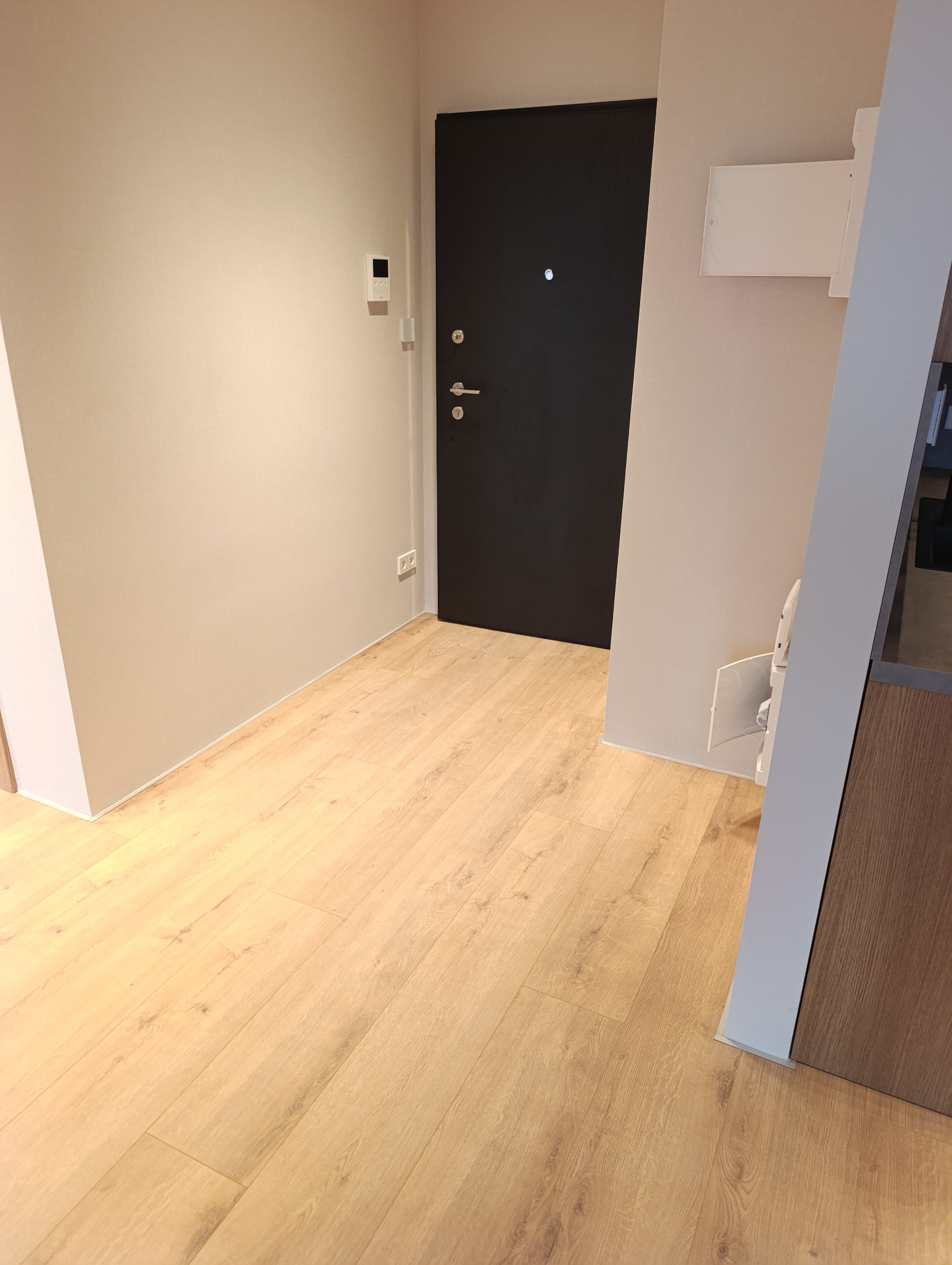 Jasne panele podłogowe w przedpokoju z czarnymi drzwiami wejściowymi i beżowymi ścianami. Widoczny fragment szafki z drewnianym frontem.