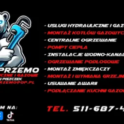 Grafika z logotypem firmy Instal Przemysław Piszczek: muskularny biały niedźwiedź trzyma niebieski klucz francuski. Oferta usług hydraulicznych i gazowych.