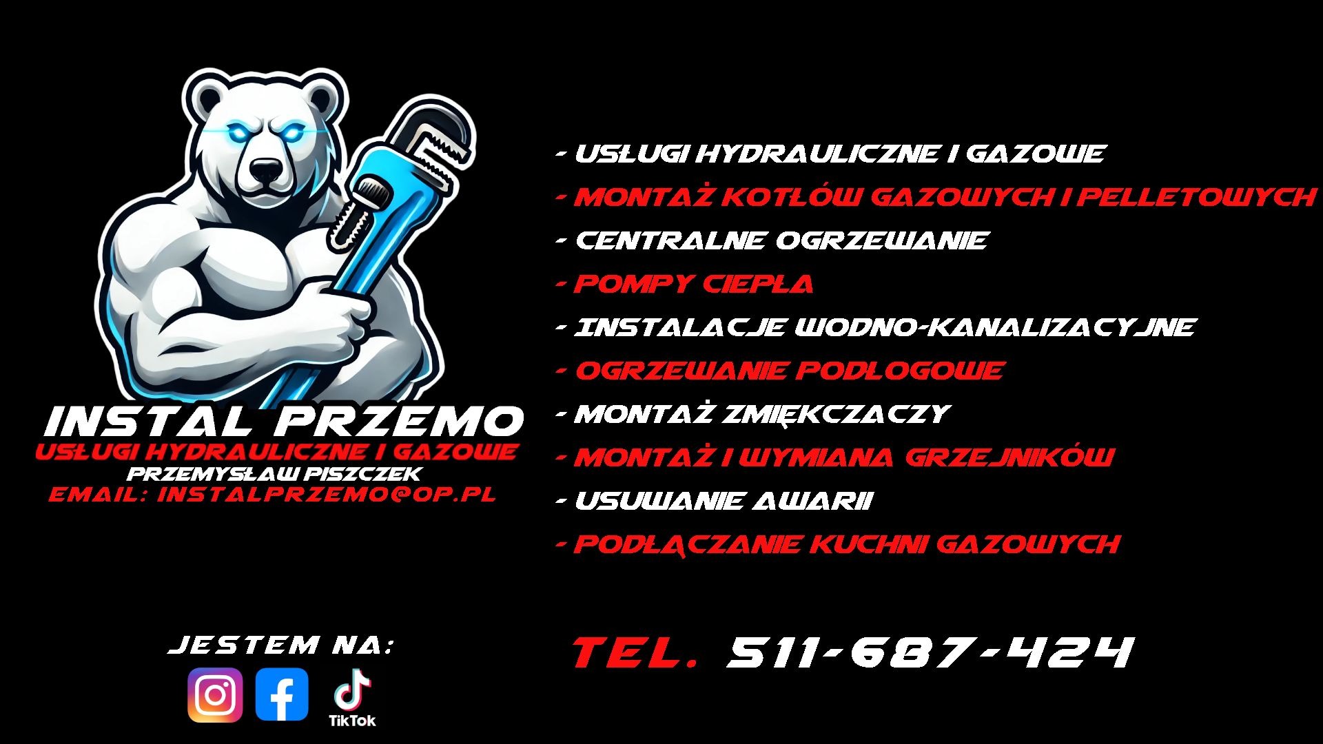 Grafika z logotypem firmy Instal Przemysław Piszczek: muskularny biały niedźwiedź trzyma niebieski klucz francuski. Oferta usług hydraulicznych i gazowych.