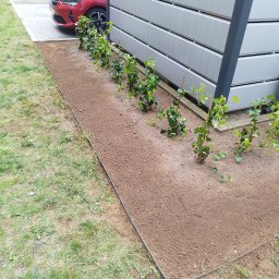 Koszenie trawy Błonie 4