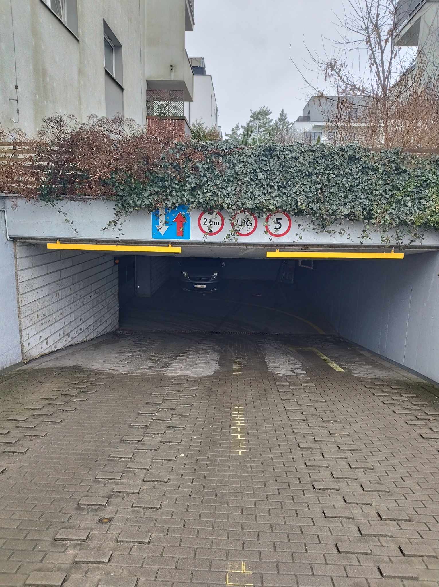 Wjazd do garażu podziemnego z widocznymi znakami ograniczenia wysokości i roślinnością na stropie, kostka brukowa z żółtymi liniami na podjeździe.