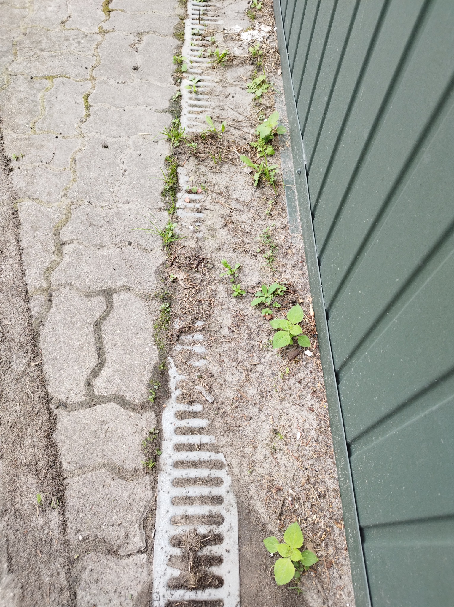 Zarośnięty rów odwadniający wzdłuż szarej ściany blaszanej i betonowej kostki brukowej z chwastami.