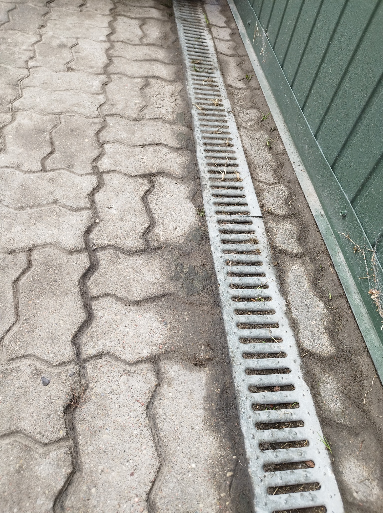 Szara, metalowa kratka odpływowa liniowa, częściowo wypełniona ziemią i resztkami roślin, ułożona wzdłuż krawędzi betonowej kostki brukowej i zielonego ogrodzenia.