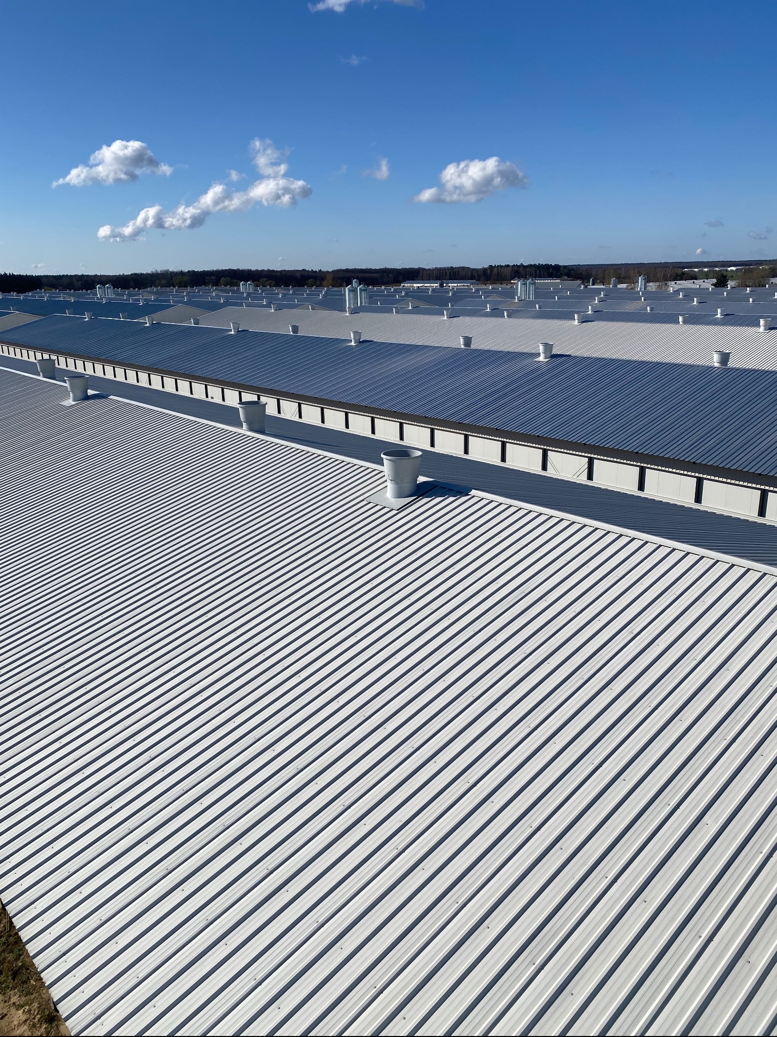 Rozległy, blaszany dach przemysłowy z wentylacją w Mławie, widziany z góry, pod błękitnym niebem z chmurami. Regularne, równoległe żłobienia blachy.