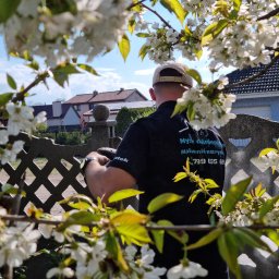 Malowanie mieszkań Gorzów Wielkopolski 3