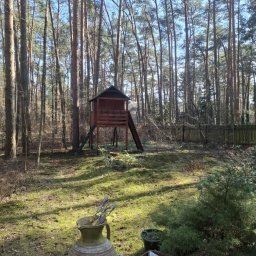 GHY SPÓŁKA Z OGRANICZONĄ ODPOWIEDZIALNOŚCIĄ - Leśny ogród z domkiem na drzewie i dekoracyjnym dzbanem na pierwszym planie, otoczony wysokimi sosnami.