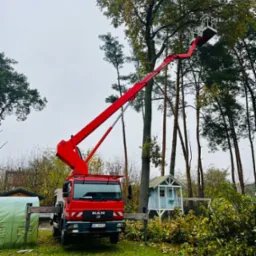 Czerwony podnośnik koszowy MAN z wysięgnikiem unosi platformę roboczą w koronie wysokiego drzewa, obok porozrzucane gałęzie, w tle domek dla dzieci