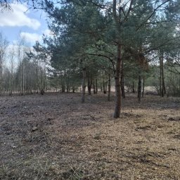 GHY SPÓŁKA Z OGRANICZONĄ ODPOWIEDZIALNOŚCIĄ - Staranna Trawa z Rolki Legionowo