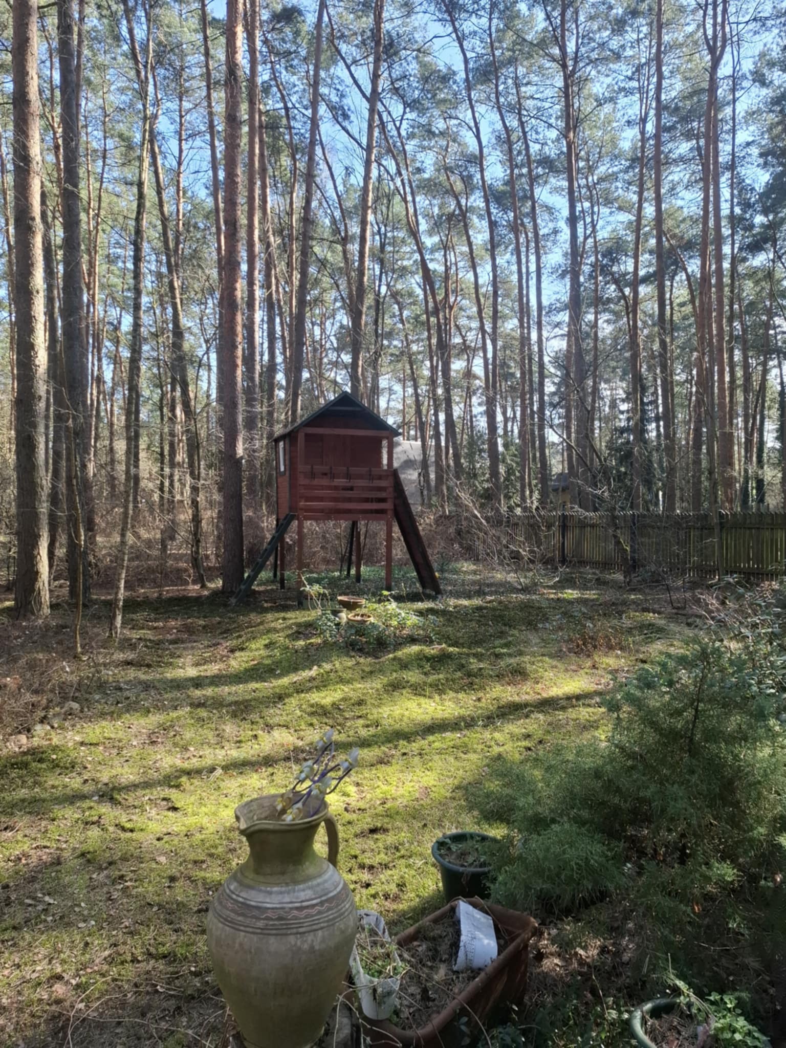 Leśny ogród z domkiem na drzewie i dekoracyjnym dzbanem na pierwszym planie, otoczony wysokimi sosnami.
