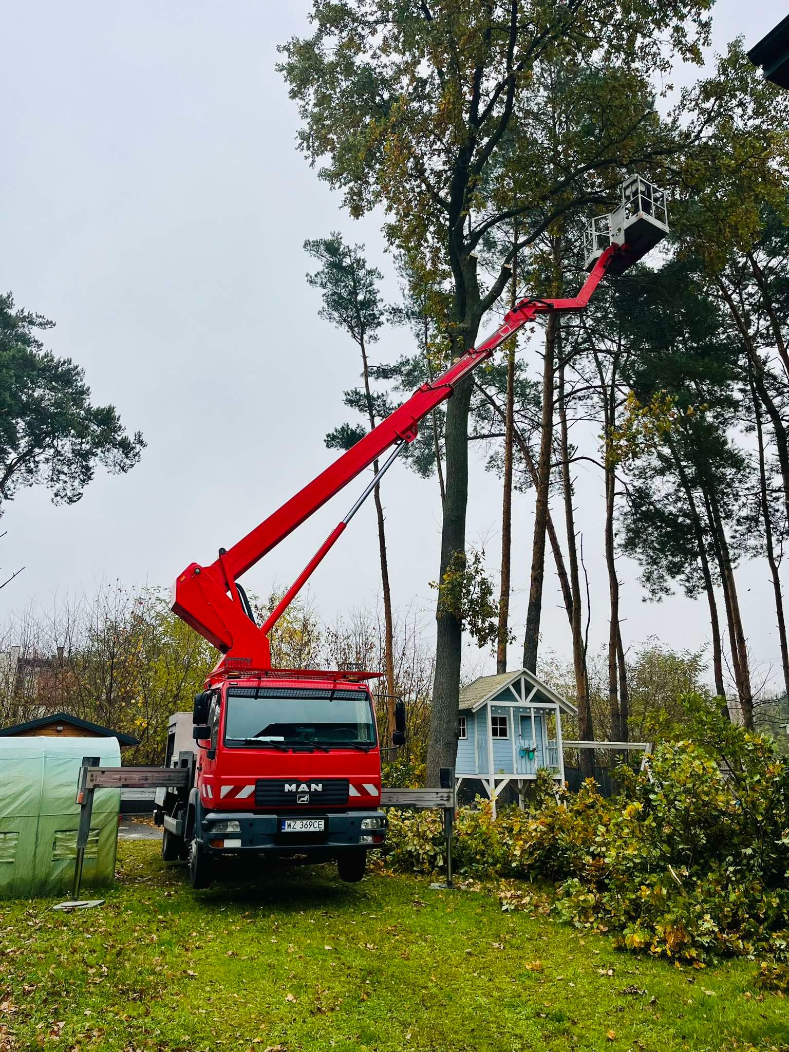 Czerwony podnośnik koszowy MAN z wysięgnikiem unosi platformę roboczą w koronie wysokiego drzewa, obok porozrzucane gałęzie, w tle domek dla dzieci