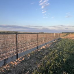 Twoje Ogrodzenie 24 - Długa linia ogrodzenia z siatki z betonową podmurówką, rozciągająca się wzdłuż pola uprawnego pod błękitnym niebem.