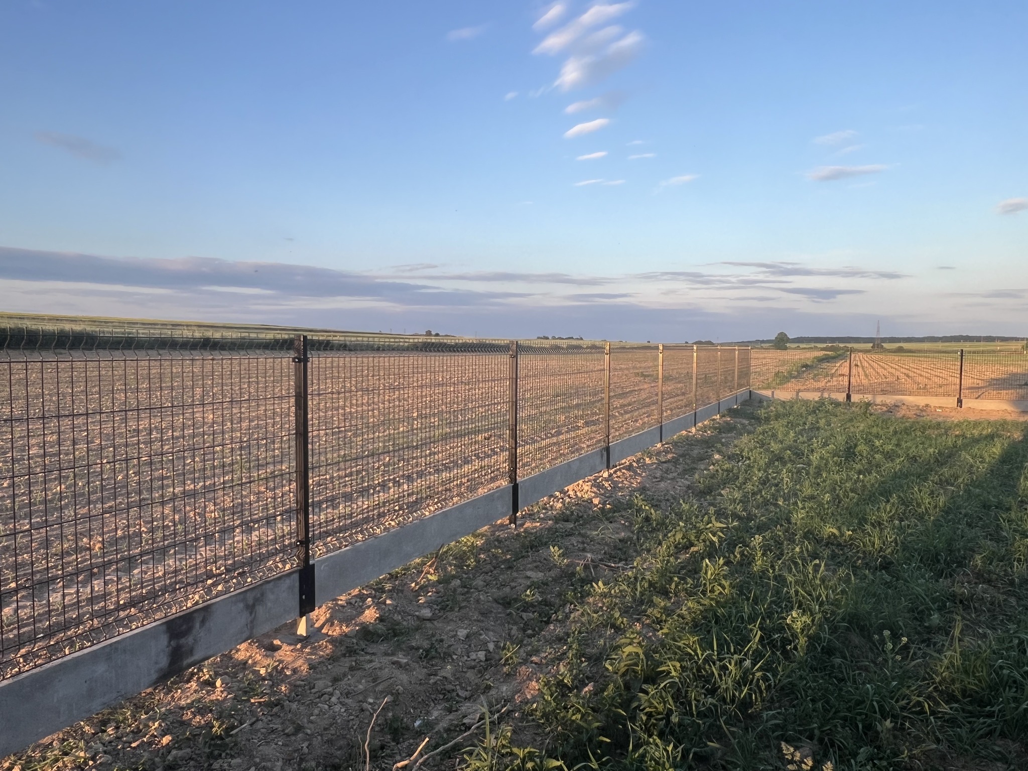 Długa linia ogrodzenia z siatki z betonową podmurówką, rozciągająca się wzdłuż pola uprawnego pod błękitnym niebem.