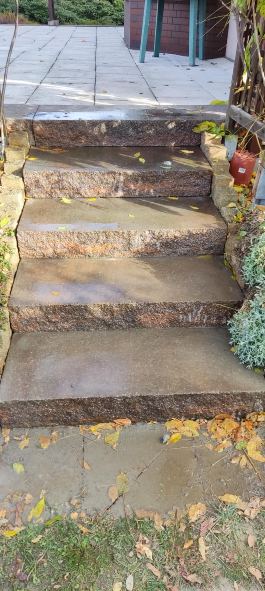 Granitowe schody zewnętrzne z brązowo-szarego kamienia, pokryte opadłymi żółtymi liśćmi, prowadzące do jasnej kostki brukowej.