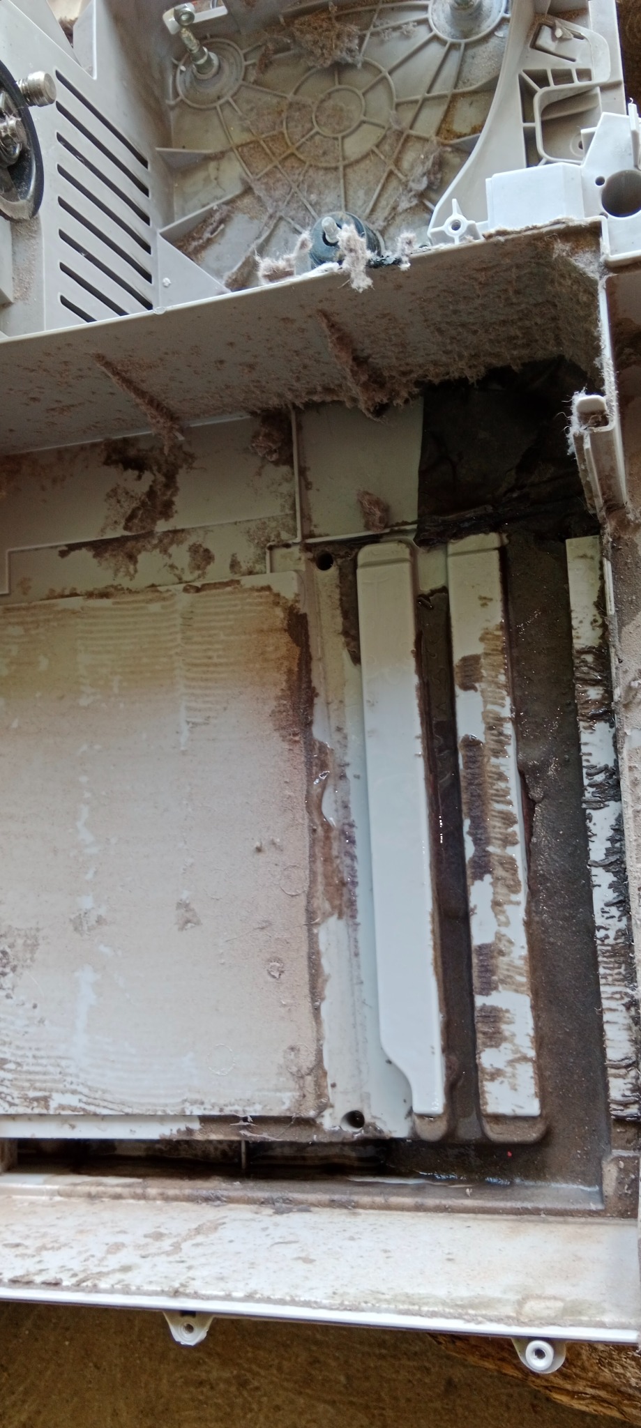 Wnętrze brudnej zmywarki z widocznymi elementami grzewczymi i osadami. Detal stanu przed czyszczeniem i konserwacją, ukazujący stopień zabrudzenia.