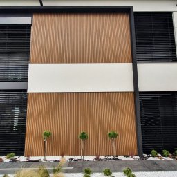 EXOWOOD Kamil Olechowski - Nowoczesna elewacja domu z drewnianymi panelami pionowymi, białym pasem i czarnymi żaluzjami zewnętrznymi; trzy małe drzewka kuliste u podstawy elewacji.