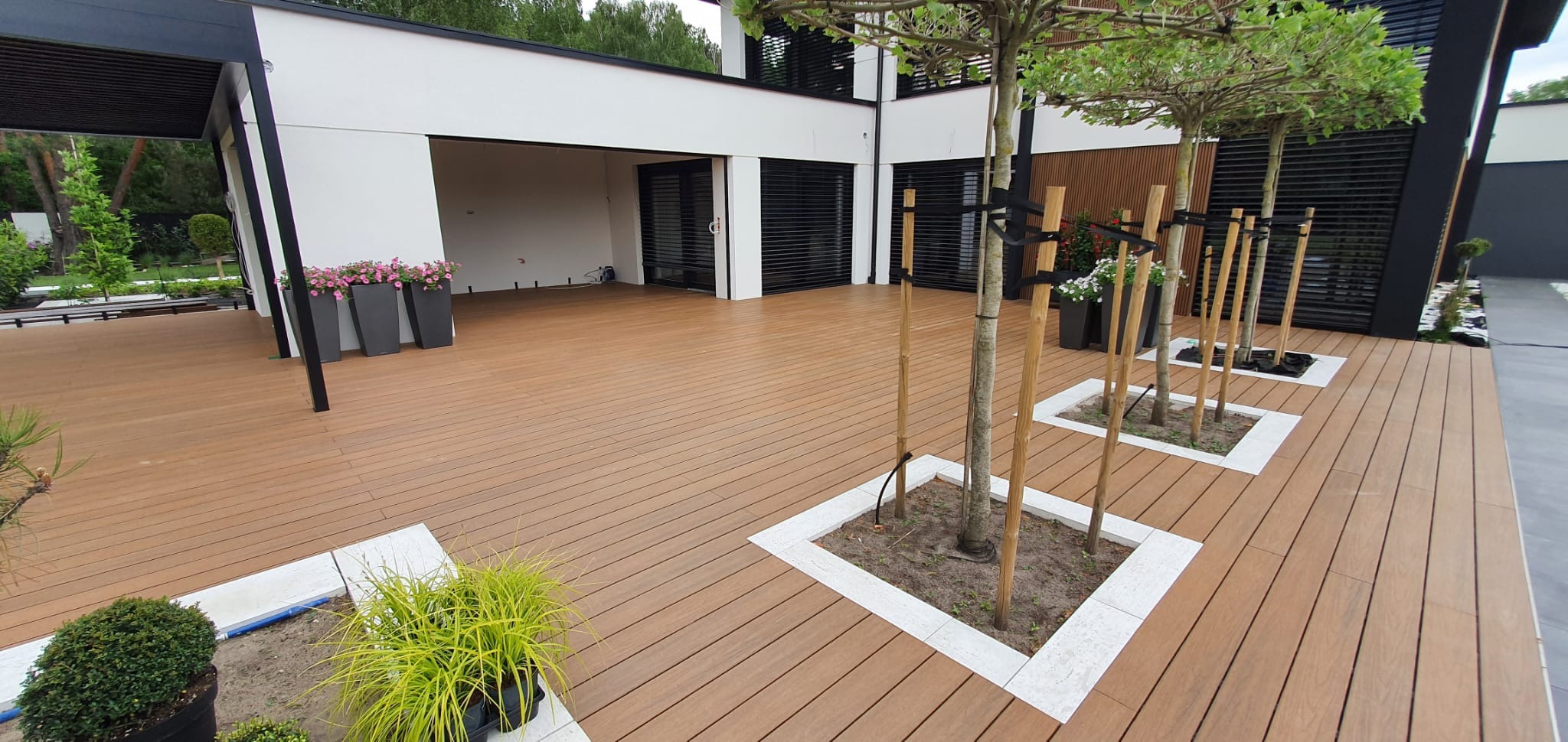 Nowoczesny taras z desek kompozytowych w kolorze jasnego drewna, z donicami z kwiatami i młodymi drzewkami w kwadratowych obramowaniach, na tle białej bryły domu z czarnymi elementami.