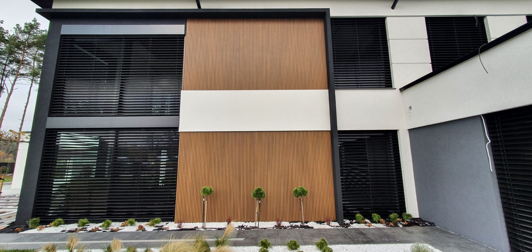 Nowoczesna elewacja domu z drewnianymi panelami pionowymi, białym pasem i czarnymi żaluzjami zewnętrznymi; trzy małe drzewka kuliste u podstawy elewacji.