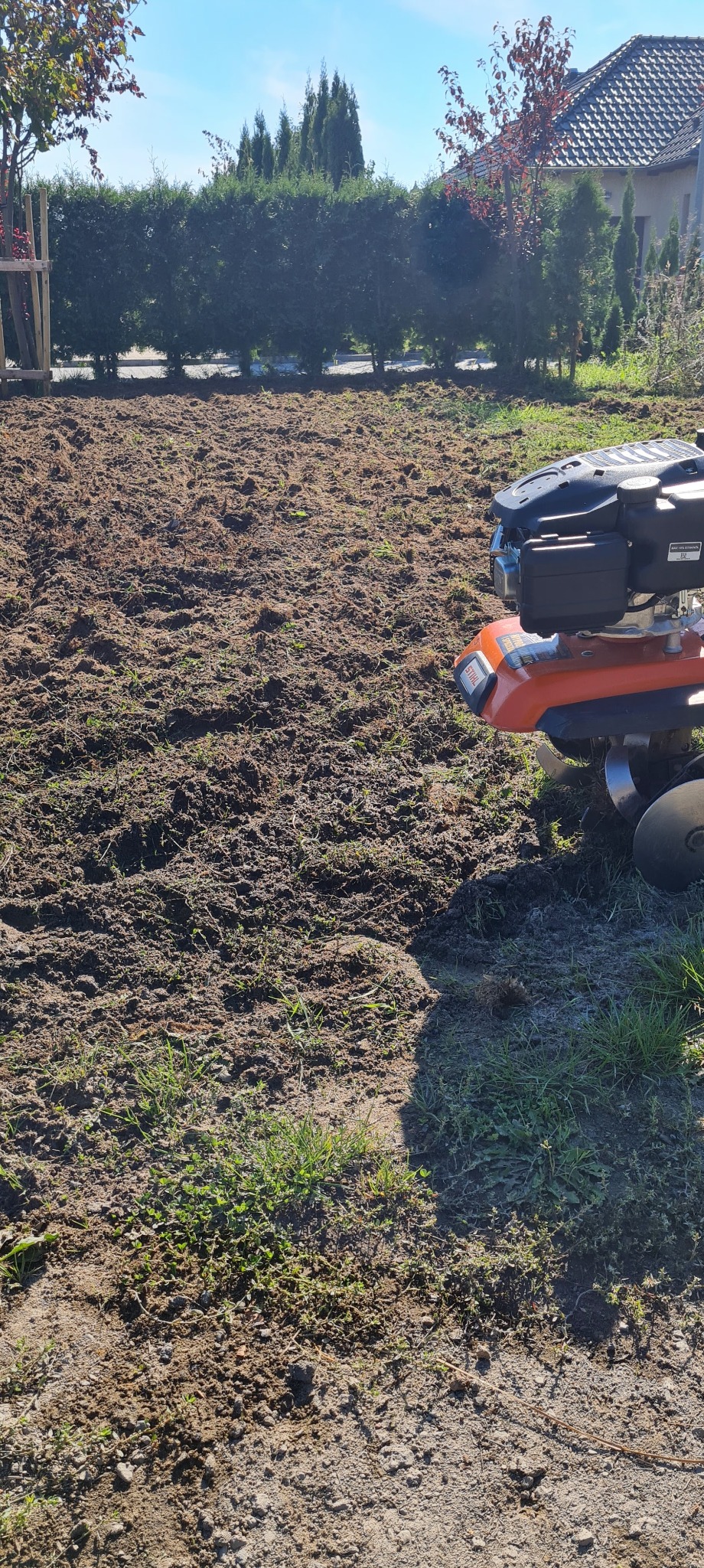 Przygotowana gleba pod uprawę, świeżo przekopana glebogryzarką marki Stihl, widoczne resztki trawy i korzeni, w tle żywopłot.