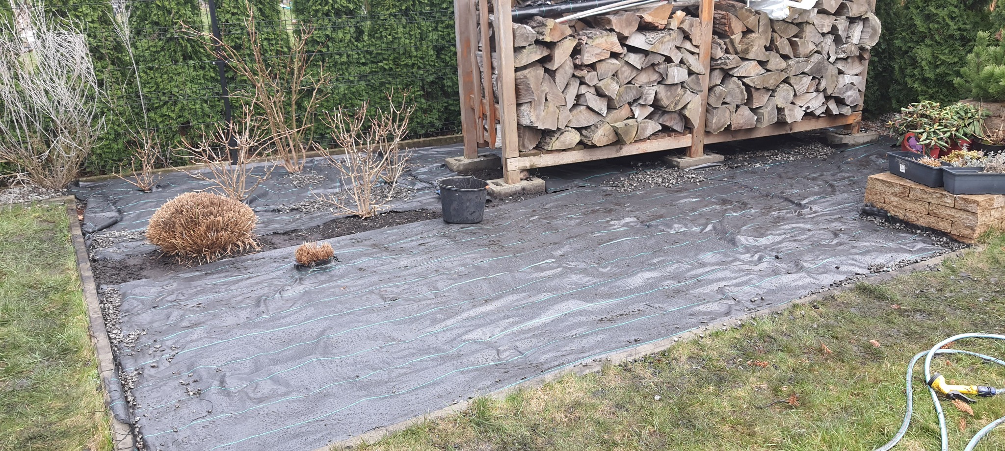 Przygotowany teren pod ogród z rozłożoną agrowłókniną, widoczne krzewy, składowane drewno oraz obrzeża trawnika