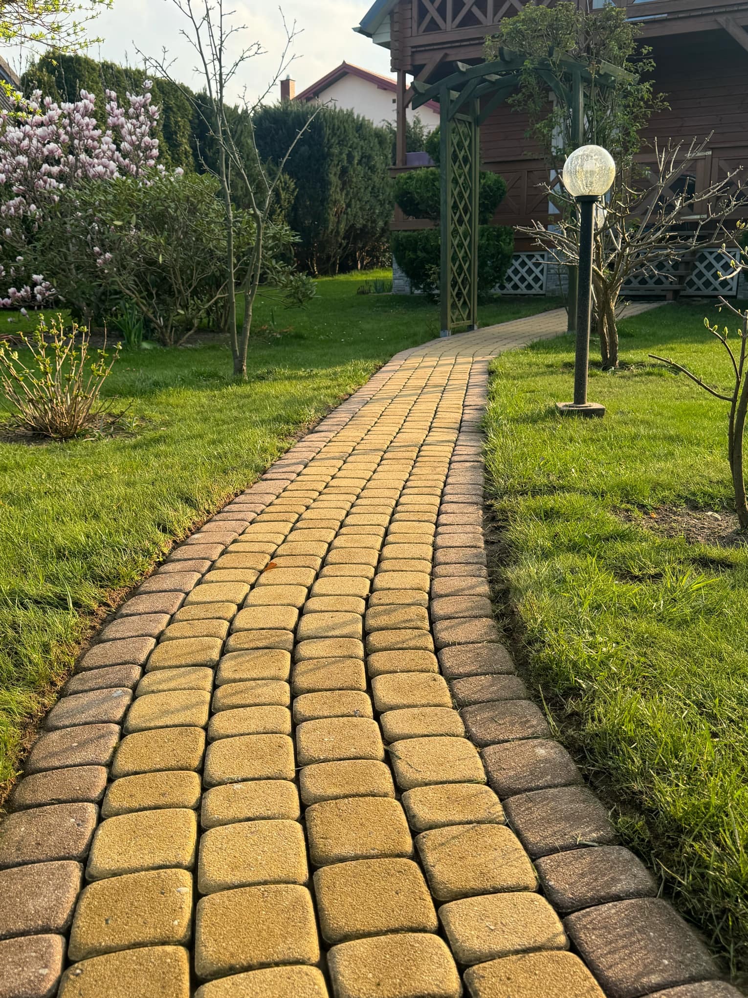 Ścieżka z kostki brukowej w ogrodzie prowadząca do drewnianej altany z lampą, trawnik po bokach, w tle kwitnąca magnolia.