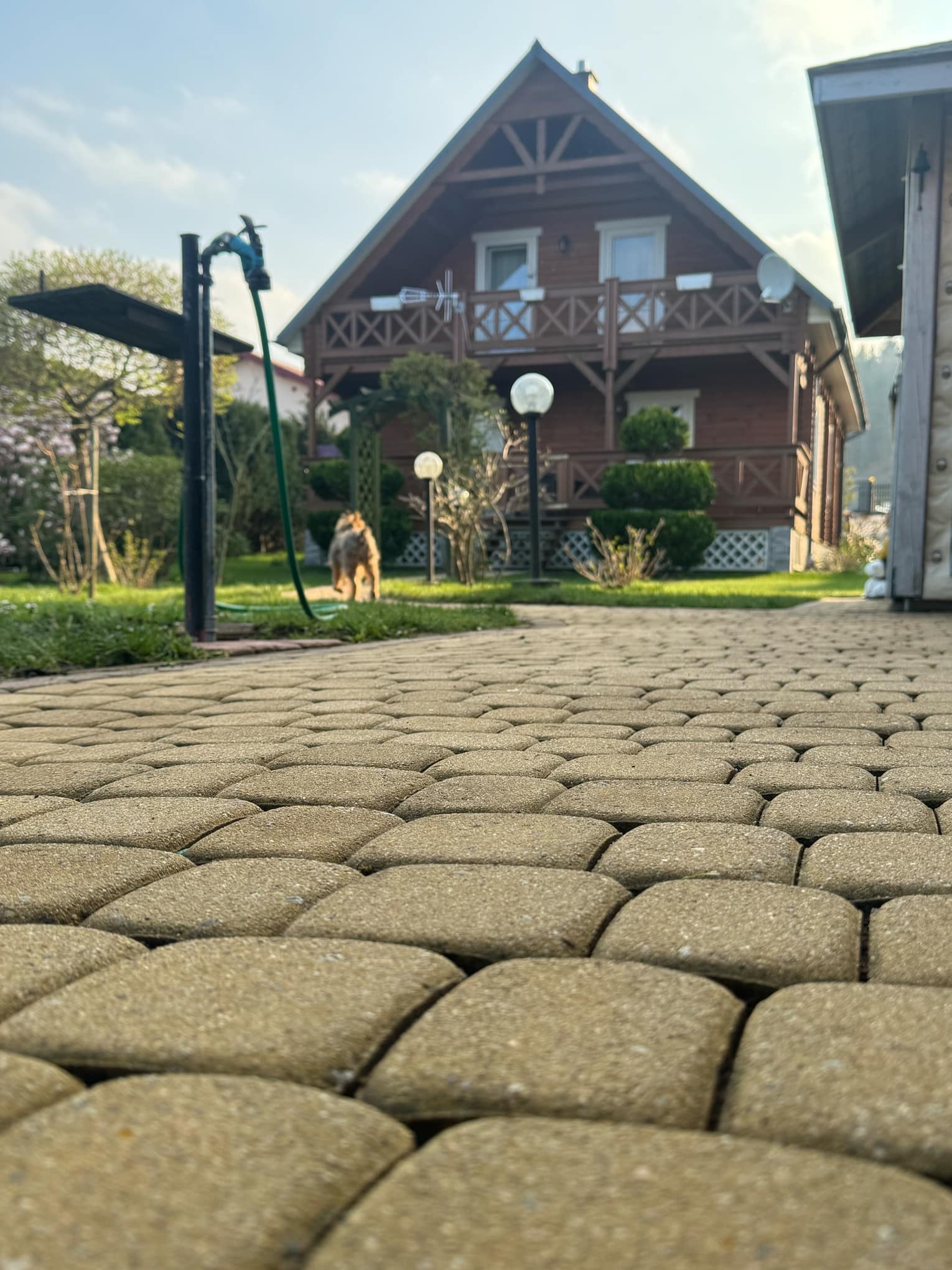 Nadole kostka 18 lat