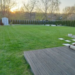 Trawa z rolki Łódź 3