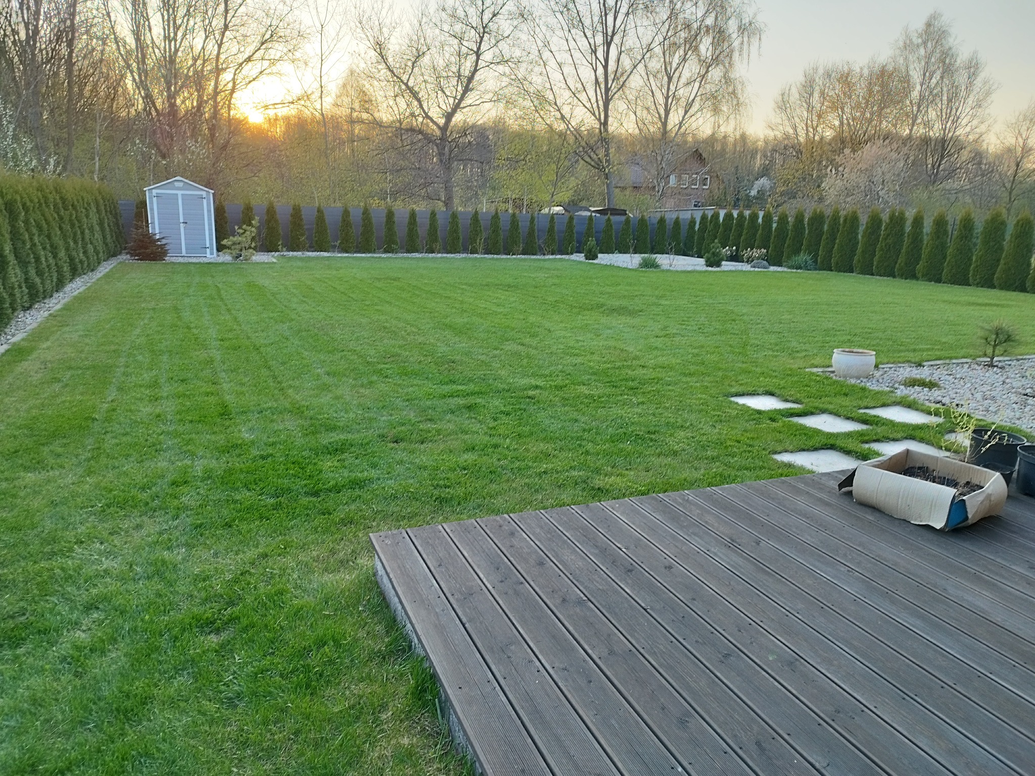 Rozległy, zadbany trawnik z równo przystrzyżoną trawą, obrzeżony szpalerem tuj, z drewnianym tarasem w rogu i małym domkiem narzędziowym w tle, oświetlony popołudniowym słońcem.