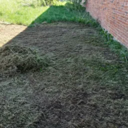 Świeżo skoszona trawa przy ceglanym murze, z widocznym stosem skoszonej trawy po lewej stronie, w słoneczny dzień. Częściowo skoszona trawa z tyłu.