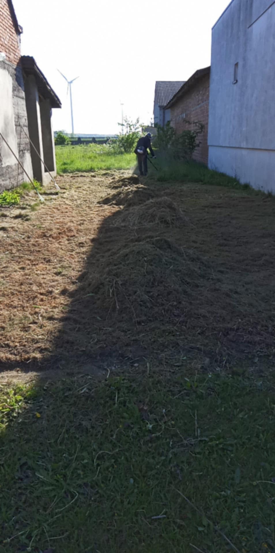 Mężczyzna kosi trawę na podwórku z budynkami i wiatrakiem w tle. Świeżo skoszona trawa leży w rzędach.