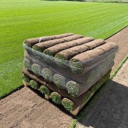 Trawa z rolki - paleta