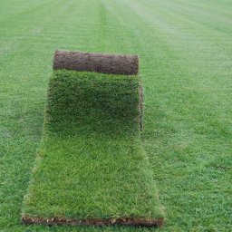 Zakładanie ogrodów Skawina 3