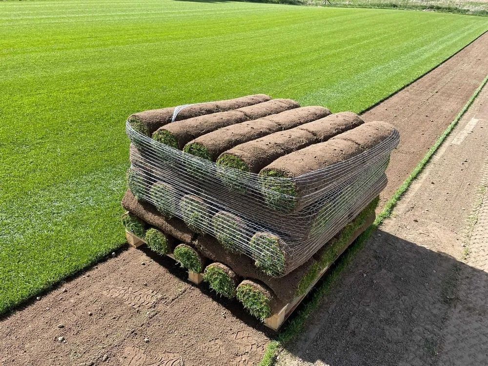 Trawa z rolki - paleta