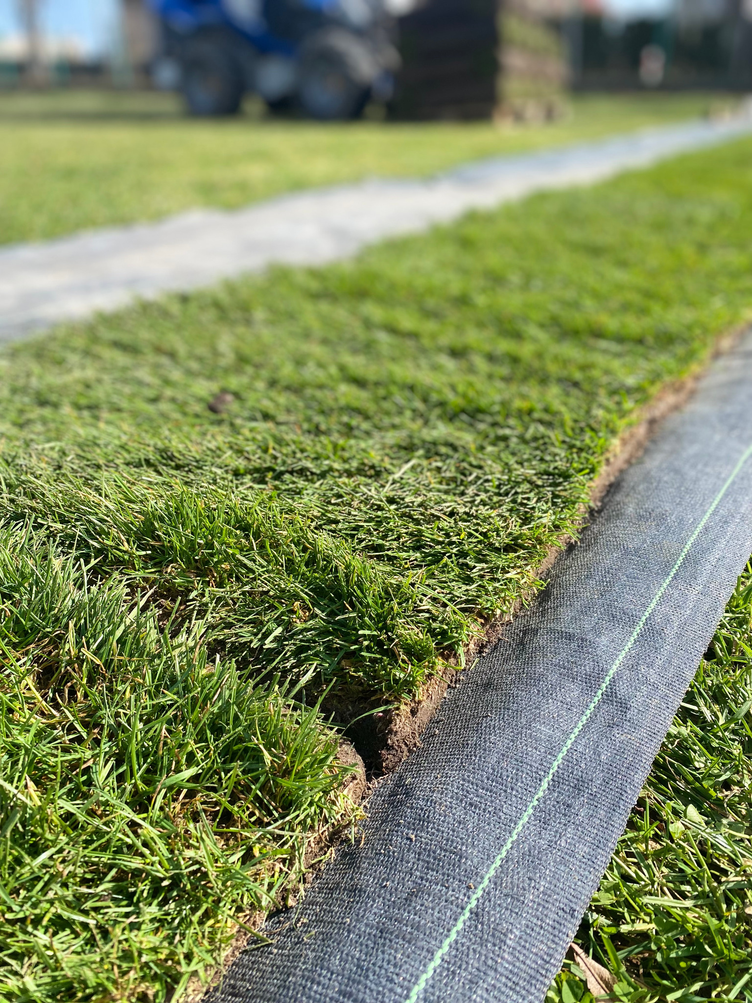 Fragment trawnika z rolki, widoczna krawędź darni i siatka wzmacniająca, w tle traktor i ułożone rolki trawy.