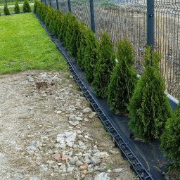 Trawa z rolki Tarnowo Podgórne 2