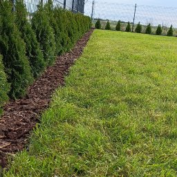 Trawa z rolki Tarnowo Podgórne 1