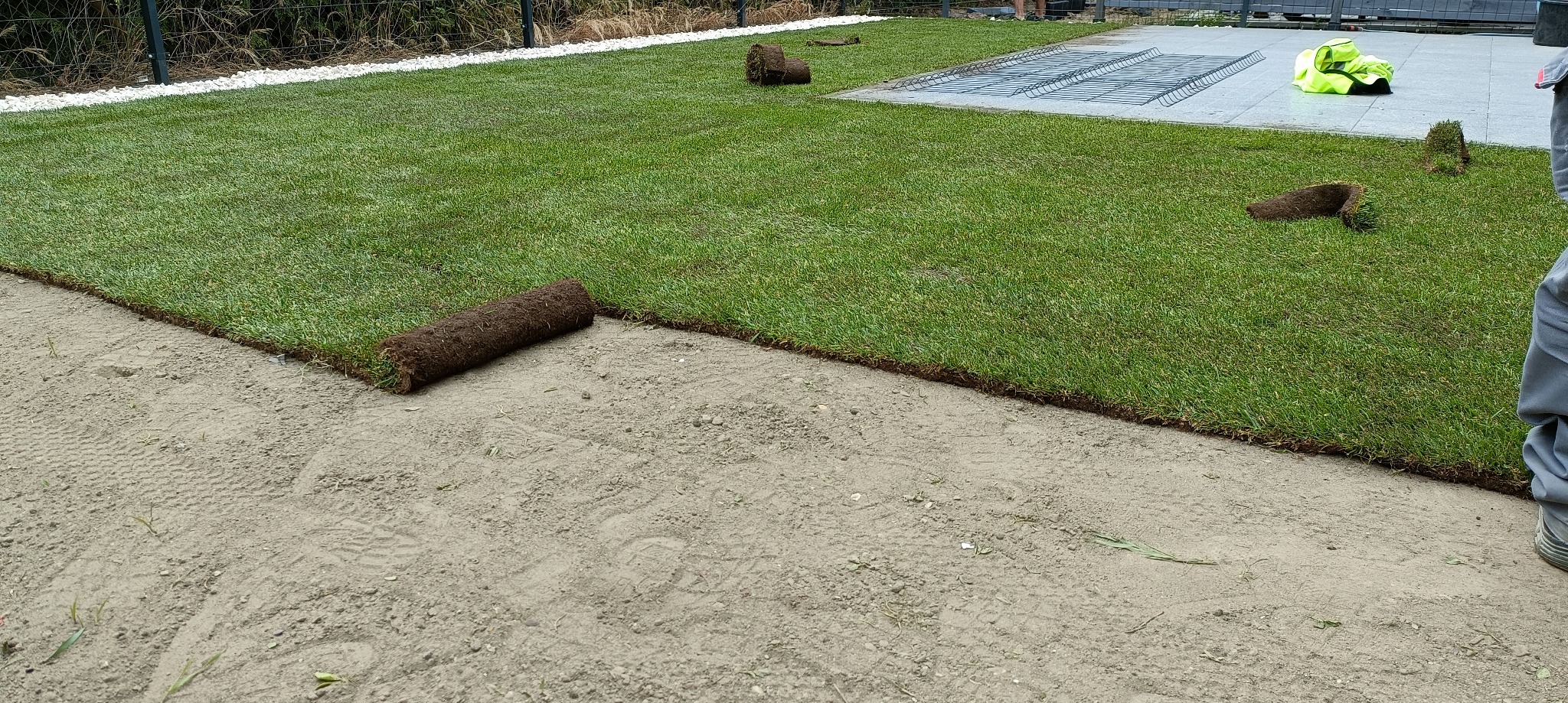 Układanie trawy z rolki: widoczny fragment ułożonej murawy, obok rozwinięta rolka trawy na przygotowanym podłożu. W tle białe kamienie i siatka.