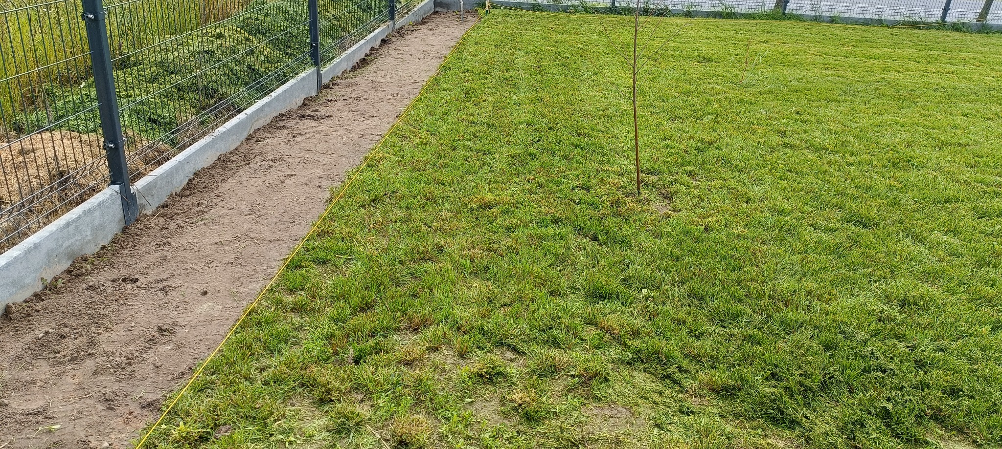 Przygotowanie terenu pod trawnik: wyrównana ziemia obok ogrodzenia z siatki, wytyczona żółtą linką granica z istniejącą trawą. W tle widoczny młody drzewek.